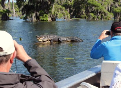 Lake Martin Swamp Tour from Beaux Bridge