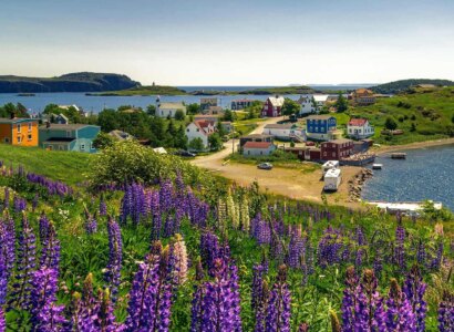 Scenic Wonders of Newfoundland and Labrador