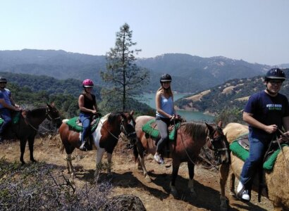 Horseback Riding Tour from Sonoma & Healdsburg