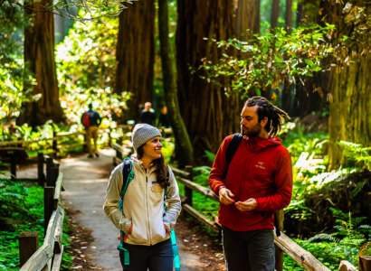 Muir Woods and Sausalito Tour from San Francisco