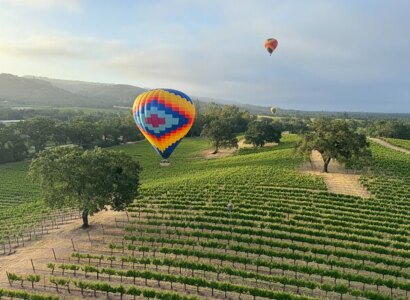 Wine Country Hot Air Balloon Ride from Sonoma