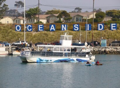 Whale Watching Tour from Oceanside