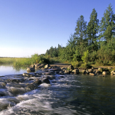 Northwest Minnesota